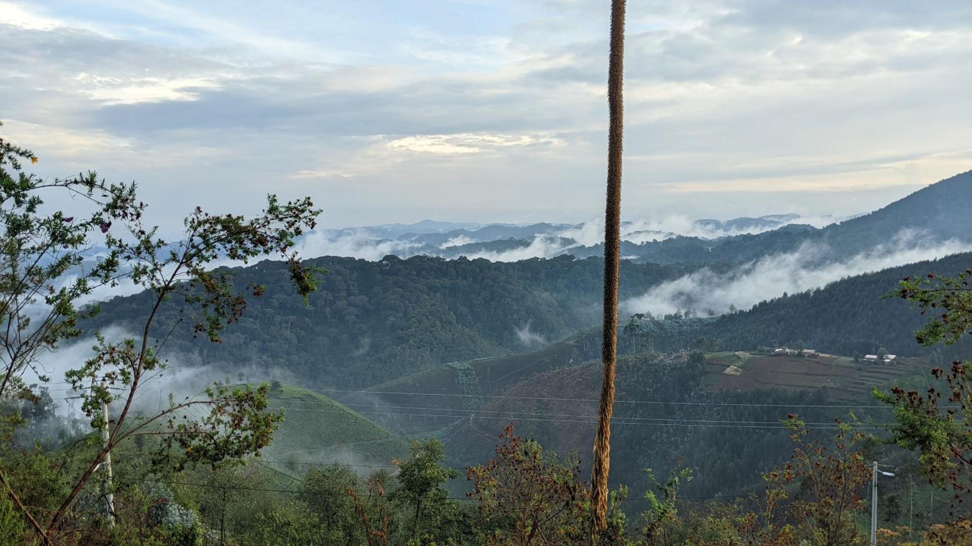 Nyungwe Village Kitabi Zewnętrze zdjęcie