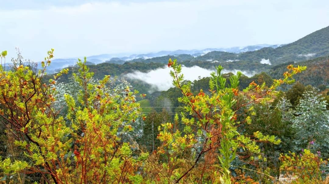 Nyungwe Village Kitabi Zewnętrze zdjęcie